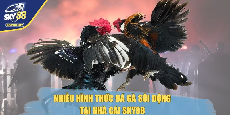 da-ga-sky88-hinh-thuc